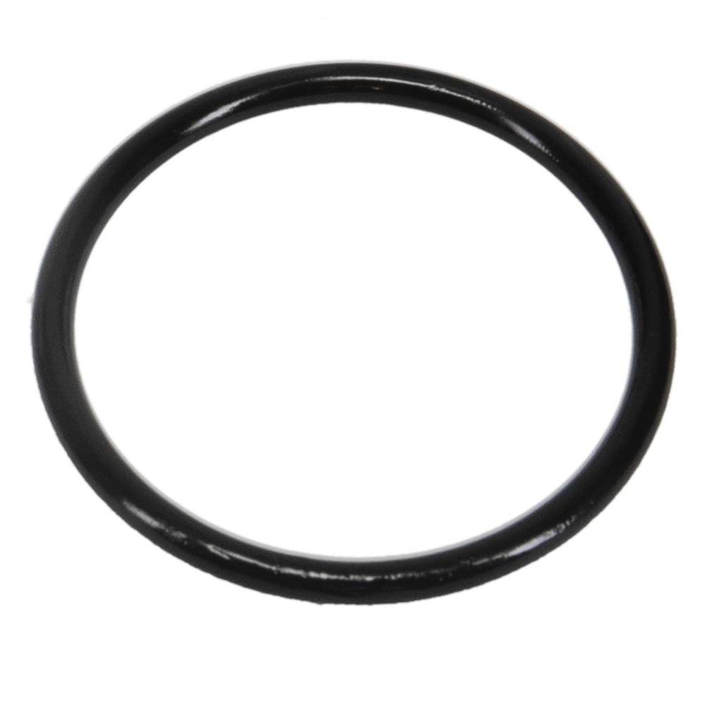 O-Ring replacement (Qty 2 in ziplock)